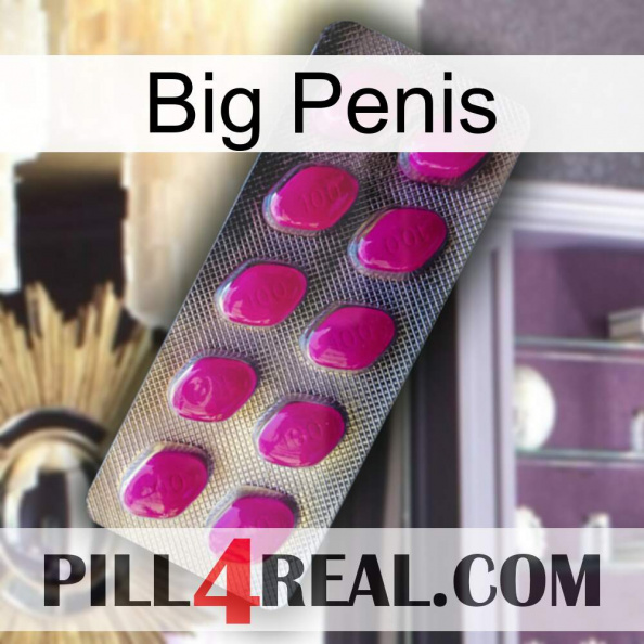 Big Penis 09.jpg